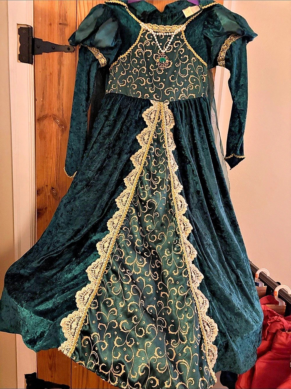 Green & Gold Velvet Costume Like New